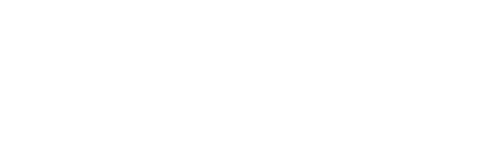 Caliber Essentials